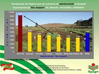 Rendimento de matéria seca de cultivares de azevém-anual na Estação
                Experimental de São Joaquim, SC. Período: 14/10/2009 a 16/09/2010.

       10.000
                     9.247
         9.000

   k     8.000
   g
         7.000
   d     6.000
   e
                                 4.941                                                                  4782
         5.000
                                             4.231       4.136
   M                                                                 3.790
     4.000                                                                        3.589       3.539
   S
   / 3.000
   h
   a 2.000
         1.000

                0
                    KLm 138    Escorpio    Inia Titan   Camaro      Bakarat   Winter Star Empasc 304    Média
                                                 Azevém-anual – São Joaquim
Fonte: Epagri/EEL (Dados não publicados)


                                           Governo do Estado de Santa Catarina
                                       Secretaria de Estado da Agricultura e da Pesca
                         Empresa de Pesquisa Agropecuária e Extensão Rural de Santa Catarina – Epagri
Governo do Estado
 