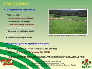 4 AVEIAS E CENTEIO
• Características das aveias

   Três espécies:
      o Aveia-preta (Avena strigosa)
      o Aveia-branca (A. sativa)
      o Aveia-amarela (A. bizantina)
   Tolerância ao frio: baixa a alta
   Exigência em fertilidade média
   Bom teor de proteína
                                                            Novilhas em pastejo de consórcio de azevém-anual, aveia-branca e centeio.
   Tolerância a estiagem: baixa


• Recomendações de espécies/cultivares

   Até 1.000m de altitude: aveias-pretas (Iapar 61 e BRS 139)
   Superior a 1.000m: Fapa 2, Fundacep 43 e IPR 126

          NORMALMENTE AS SEMENTES COMUNS APRESENTAM BAIXA TOLERÂNCIA AO FRIO!

                                       Governo do Estado de Santa Catarina
                                   Secretaria de Estado da Agricultura e da Pesca
                     Empresa de Pesquisa Agropecuária e Extensão Rural de Santa Catarina – Epagri
Governo do Estado
 