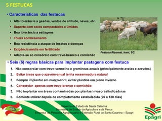 5 FESTUCAS
• Características das festucas
   Alta tolerância a geadas, ventos de altitude, neves, etc.
   Suporta bem solos compactados e úmidos
   Boa tolerância a estiagens
   Tolera sombreamento
   Boa resistência a ataque de insetos e doenças
   Exigência média em fertilidade
                                                                        Festuca Rizomat, Irani, SC.
   Adapta-se ao consórcio com trevo-branco e cornichão

• Seis (6) regras básicas para implantar pastagens com festuca
  1. Não consorciar com trevo-vermelho e gramíneas anuais (principalmente aveias e azevéns)
  2.      Evitar áreas que o azevém-anual tenha ressemeadura natural
  3.      Sempre implantar em março-abril, evitar plantios em pleno inverno
  4.      Consorciar apenas com trevo-branco e cornichão
  5.      Não implantar em áreas contaminadas por plantas invasoras/indicadoras
  6.      Somente utilizar depois de completamente estabelecida (90 a 120 dias)

                                        Governo do Estado de Santa Catarina
                                    Secretaria de Estado da Agricultura e da Pesca
                      Empresa de Pesquisa Agropecuária e Extensão Rural de Santa Catarina – Epagri
Governo do Estado
 