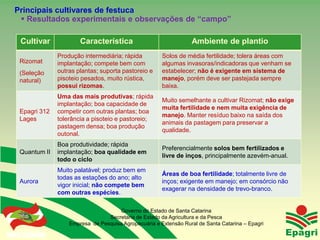 Principais cultivares de festuca
  Resultados experimentais e observações de “campo”

  Cultivar                  Característica                             Ambiente de plantio
                    Produção intermediária; rápida          Solos de média fertilidade; tolera áreas com
  Rizomat           implantação; compete bem com            algumas invasoras/indicadoras que venham se
  (Seleção          outras plantas; suporta pastoreio e     estabelecer; não é exigente em sistema de
  natural)          pisoteio pesados, muito rústica,        manejo, porém deve ser pastejada sempre
                    possui rizomas.                         baixa.
                    Uma das mais produtivas; rápida
                                                            Muito semelhante a cultivar Rizomat; não exige
                    implantação; boa capacidade de
                                                            muita fertilidade e nem muita exigência de
  Epagri 312        competir com outras plantas; boa
                                                            manejo. Manter resíduo baixo na saída dos
  Lages             tolerância a pisoteio e pastoreio;
                                                            animais da pastagem para preservar a
                    pastagem densa; boa produção
                                                            qualidade.
                    outonal.
                    Boa produtividade; rápida
                                                            Preferencialmente solos bem fertilizados e
  Quantum II        implantação; boa qualidade em
                                                            livre de inços, principalmente azevém-anual.
                    todo o ciclo
                    Muito palatável; produz bem em
                                                            Áreas de boa fertilidade; totalmente livre de
                    todas as estações do ano; alto
  Aurora                                                    inços; exigente em manejo; em consórcio não
                    vigor inicial; não compete bem
                                                            exagerar na densidade de trevo-branco.
                    com outras espécies.

                                          Governo do Estado de Santa Catarina
                                      Secretaria de Estado da Agricultura e da Pesca
                        Empresa de Pesquisa Agropecuária e Extensão Rural de Santa Catarina – Epagri
Governo do Estado
 