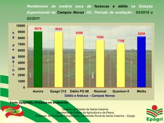 Rendimento de matéria seca de festucas e dátilo na Estação
                        Experimental de Campos Novos, SC. Período de avaliação: 03/2010 a
                        02/2011
         10000
                            9078           9022
     k     9000                                           8390                                             8258
     g     8000                                                           7690
                                                                                          7108
     d     7000
     e     6000

    M      5000
    S      4000
    /
    h      3000
    a      2000
           1000
                    0
                           Aurora      Epagri 312 Dátilo PG 68      Rizomat   Quantum II                   Média
                                                Dátilo e festuca – Campos Novos

  Fonte: Epagri/EEL (Pesquisa em andamento)

                                              Governo do Estado de Santa Catarina
                                          Secretaria de Estado da Agricultura e da Pesca
                            Empresa de Pesquisa Agropecuária e Extensão Rural de Santa Catarina – Epagri
Governo do Estado
 