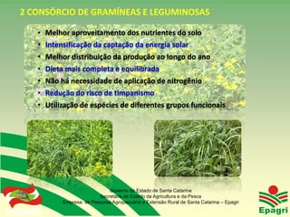 2 CONSÓRCIO DE GRAMÍNEAS E LEGUMINOSAS

               • Melhor aproveitamento dos nutrientes do solo
               •    Intensificação da captação da energia solar
               •    Melhor distribuição da produção ao longo do ano
               •    Dieta mais completa e equilibrada
               •    Não há necessidade de aplicação de nitrogênio
               •    Redução do risco de timpanismo
               •    Utilização de espécies de diferentes grupos funcionais




                                           Governo do Estado de Santa Catarina
                                       Secretaria de Estado da Agricultura e da Pesca
                         Empresa de Pesquisa Agropecuária e Extensão Rural de Santa Catarina – Epagri
Governo do Estado
 