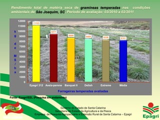 Rendimento total de matéria seca de gramíneas temperadas nas condições
   ambientais de São Joaquim, SC. Período de avaliação: 03/2010 a 02/2011

            12000
                          11123
            11000

       k 10000                          9417
       g 9000                                         8699         8485         8338          8181
              8000
       d
              7000
       e
              6000
       M      5000
       S
              4000
       /
              3000
       h
       a      2000
              1000
                    0
                        Epagri 312 Aveia-perene    Banquet II     Delish      Extreme        Média

                                               Forrageiras temperadas avaliadas
  Fonte: Epagri/EEL (Pesquisa em andamento)


                                             Governo do Estado de Santa Catarina
                                         Secretaria de Estado da Agricultura e da Pesca
Governo do Estado          Empresa de Pesquisa Agropecuária e Extensão Rural de Santa Catarina – Epagri
 