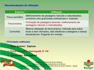 • Recomendações de utilização

                    Espécie                                      Utilização
                               Melhoramento de pastagens naturais e naturalizadas;
    Trevo-vermelho
                               consórcio com gramíneas subtropicais e tropicais
                               Formação de pastagens perenes; melhoramento de
      Trevo-branco
                               pastagens naturais e naturalizadas
                               Mesma utilização do trevo-branco, indicado para solos
          Cornichão            leves e bem drenados, alta tolerância a estiagens e baixas
                               temperaturas. Exigente em manejo.


  • Principais cultivares
       Trevo-branco: Zapican

       Trevo-vermelho: Quiniquelli, E 116
       Cornichão: São Gabriel

                                          Governo do Estado de Santa Catarina
                                      Secretaria de Estado da Agricultura e da Pesca
                        Empresa de Pesquisa Agropecuária e Extensão Rural de Santa Catarina – Epagri
Governo do Estado
 