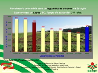 Rendimento de matéria seca de leguminosas perenes na Estação
                     Experimental de Lages, SC. Tempo de avaliação: 317 dias.
       6000
                      5544      5485

                                           5003
  k    5000
  g
                                                                                                                   4212
                                                       4034
       4000                                                        3674
  d                                                                            3637
                                                                                            3304
  e                                                                                                      3018
       3000

  M
  S    2000
  /
  h
       1000
  a

           0
                TB Jacuí S2 TB Zapican LT Larranaga LU Serrano   TB Trophi   TB Kopu II   TB Tribute   LU Trojan   Média

                                                    Leguminosas avaliadas
Fonte: Epagri/EEL (Pesquisa em andamento)

                                               Governo do Estado de Santa Catarina
                                           Secretaria de Estado da Agricultura e da Pesca
                             Empresa de Pesquisa Agropecuária e Extensão Rural de Santa Catarina – Epagri
 Governo do Estado
                                                         Programa Pecuária
 