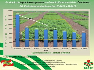 Produção de leguminosas perenes na Estação Experimental de Canoinhas,
                                SC. Período de avaliação/cortes: 03/2011 a 02/2012
        16000
                        14292
        14000
  k
  g     12000


        10000
  d                                    8505
  e       8000                                       7682       7671         7511
                                                                                          6899
                                                                                                       6494        6273
          6000
 M
 S        4000
 /
          2000
 h
 a            0
                     Lt Larranaga    TB Zapican     TB Kopu   Lu SCS 313    LuTrojan   TB Jacuí S2   TB Trophy   TB Tribute
                                                               Serrano

                                                  Leguminosas avaliadas - 03/2011 a 02/2012
Fonte: Epagri/EEL (Pesquisa em andamento)

                                                  Governo do Estado de Santa Catarina
                                              Secretaria de Estado da Agricultura e da Pesca
                                Empresa de Pesquisa Agropecuária e Extensão Rural de Santa Catarina – Epagri
 Governo do Estado
                                                            Programa Pecuária
 
