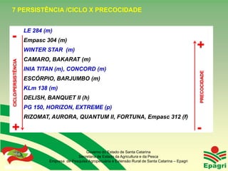 7 PERSISTÊNCIA /CICLO X PRECOCIDADE


                      LE 284 (m)
-                     Empasc 304 (m)
                      WINTER STAR (m)                                                                        +
                      CAMARO, BAKARAT (m)
 CICLO/PERSISTÊNCIA




                      INIA TITAN (m), CONCORD (m)




                                                                                                             PRECOCIDADE
                      ESCÓRPIO, BARJUMBO (m)
                      KLm 138 (m)
                      DELISH, BANQUET II (h)
                      PG 150, HORIZON, EXTREME (p)
                      RIZOMAT, AURORA, QUANTUM II, FORTUNA, Empasc 312 (f)

+                                                                                                            -
                                                Governo do Estado de Santa Catarina
                                            Secretaria de Estado da Agricultura e da Pesca
                              Empresa de Pesquisa Agropecuária e Extensão Rural de Santa Catarina – Epagri
Governo do Estado
 