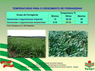 TEMPERATURAS PARA O CRESCIMENTO DE FORRAGEIRAS
                                                                      Temperatura ºC
                    Grupo de Forrageiras
                                                               Mínima     Ótima      Máxima
    Gramíneas e leguminosas tropicais                            15       30-35        50
    Gramíneas e leguminosas temperadas                          5-10      20-25        35
    Fonte: Rodrigues et al. 1993 (Adaptado)




                                         Governo do Estado de Santa Catarina
                                     Secretaria de Estado da Agricultura e da Pesca
                       Empresa de Pesquisa Agropecuária e Extensão Rural de Santa Catarina – Epagri
Governo do Estado
 