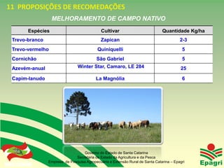 11 PROPOSIÇÕES DE RECOMEDAÇÕES
                          MELHORAMENTO DE CAMPO NATIVO
               Espécies                            Cultivar                          Quantidade Kg/ha
 Trevo-branco                                      Zapican                                     2-3
 Trevo-vermelho                                  Quiniquelli                                    5
 Cornichão                                      São Gabriel                                     5
 Azevém-anual                         Winter Star, Camaro, LE 284                              25

 Capim-lanudo                                   La Magnólia                                     6




                                        Governo do Estado de Santa Catarina
                                    Secretaria de Estado da Agricultura e da Pesca
 Governo do Estado    Empresa de Pesquisa Agropecuária e Extensão Rural de Santa Catarina – Epagri
 