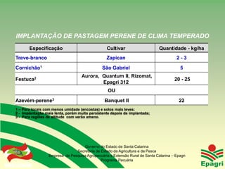 IMPLANTAÇÃO DE PASTAGEM PERENE DE CLIMA TEMPERADO
               Especificação                          Cultivar                     Quantidade - kg/ha
   Trevo-branco                                       Zapican                                2-3
   Cornichão1                                      São Gabriel                                 5
                                        Aurora, Quantum II, Rizomat,
   Festuca2                                                                                 20 - 25
                                                Epagri 312
                                                      OU
   Azevém-perene3                                    Banquet II                               22
   1 – Para locais com menos umidade (encostas) e solos mais leves;
   2 - Implantação mais lenta, porém muito persistente depois de implantada;
   3 - Para regiões de altitude com verão ameno.




                                        Governo do Estado de Santa Catarina
                                    Secretaria de Estado da Agricultura e da Pesca
                      Empresa de Pesquisa Agropecuária e Extensão Rural de Santa Catarina – Epagri
Governo do Estado
                                                  Programa Pecuária
 
