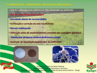 3 FORRAGEIRAS TEMPERADAS: MOTIVOS DE INSUCESSOS...
        • Uso de cultivares sem critérios ou não adaptadas ao ambiente
        • Uso de material genético comum
        • Densidade abaixo da recomendação
        • Fertilização e correção do solo insuficientes
        • Manejo inadequado
        • Utilização antes do estabelecimento completo das pastagens (perenes)
        • Plantio fora da época recomendada (muito tarde)
        • Ausência de inoculação/peletização ou ineficiente




                                      Governo do Estado de Santa Catarina
                                  Secretaria de Estado da Agricultura e da Pesca
Governo do Estado   Empresa de Pesquisa Agropecuária e Extensão Rural de Santa Catarina – Epagri
 