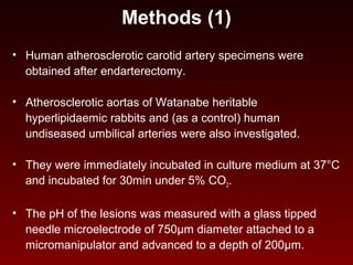 Methods (1)
• Human atherosclerotic carotid artery specimens were
obtained after endarterectomy.
• Atherosclerotic aortas of Watanabe heritable
hyperlipidaemic rabbits and (as a control) human
undiseased umbilical arteries were also investigated.
• They were immediately incubated in culture medium at 37°C
and incubated for 30min under 5% CO2.
• The pH of the lesions was measured with a glass tipped
needle microelectrode of 750µm diameter attached to a
micromanipulator and advanced to a depth of 200µm.
 