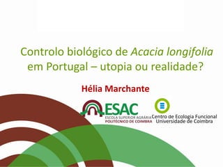 Controlo biológico de Acacia longifolia
em Portugal – utopia ou realidade?
Hélia Marchante
Centro de Ecologia Funcional
Universidade de Coimbra

 