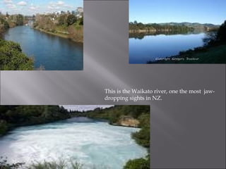 This is the Waikato river, one the most  jaw-dropping sights in NZ. 