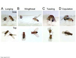 Friday, August 26, 2011
 