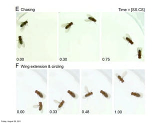 Friday, August 26, 2011
 