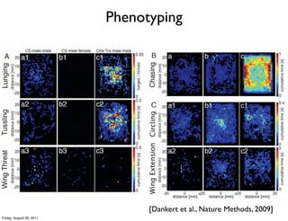 Phenotyping




                                [Dankert et al., Nature Methods, 2009]
Friday, August 26, 2011
 