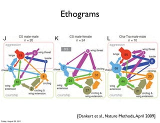 Ethograms




                             [Dankert et al., Nature Methods, April 2009]
Friday, August 26, 2011
 