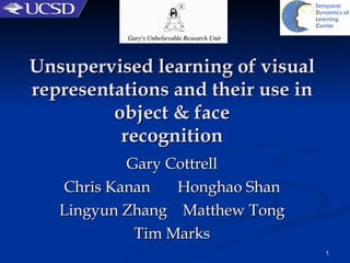 Unsupervised learning of visual representations and their use in object & face recognition Gary Cottrell Chris Kanan  Honghao Shan Lingyun Zhang  Matthew Tong Tim Marks 