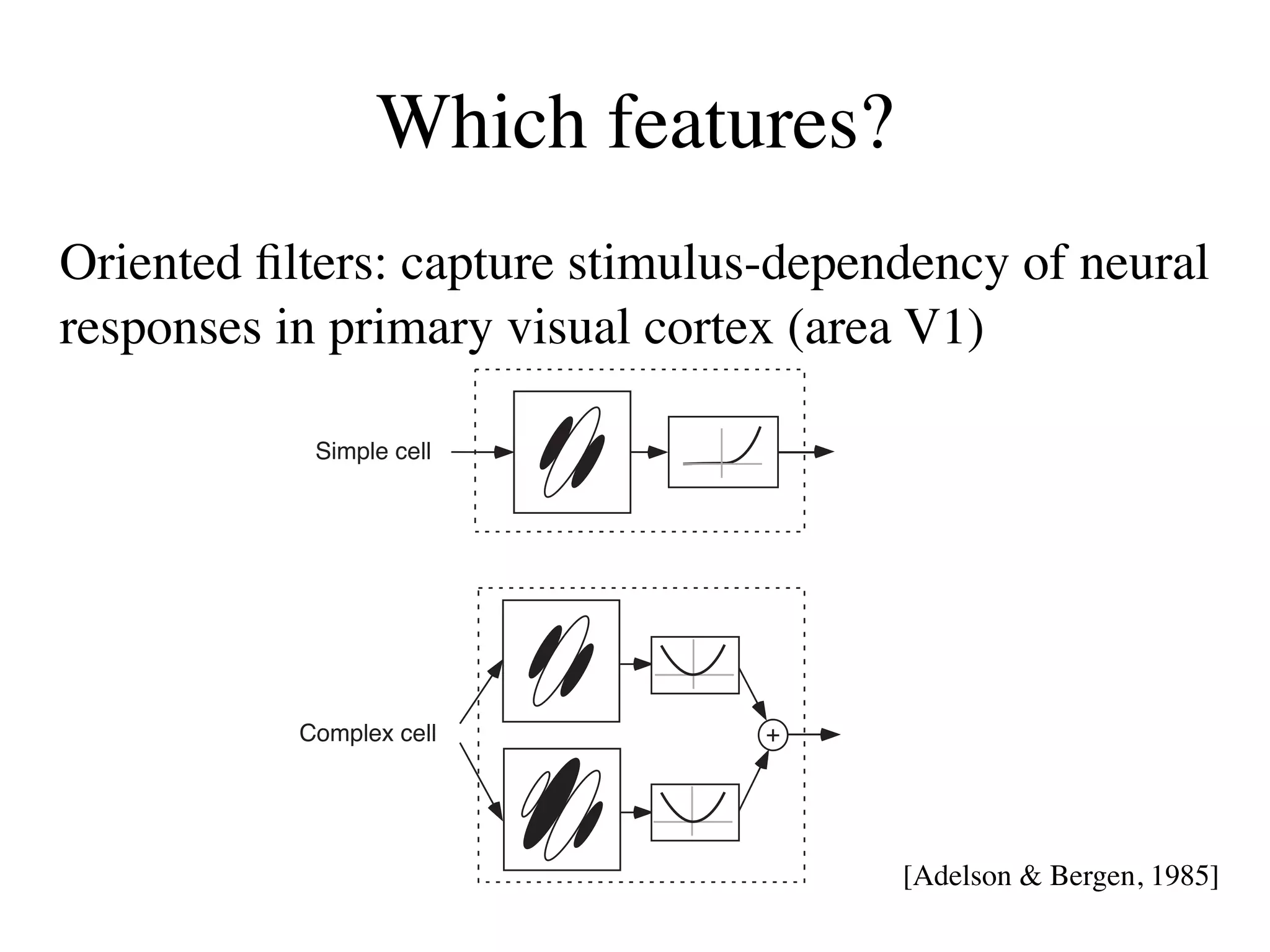 Which features?
Oriented ﬁlters: capture stimulus-dependency of neural
responses in primary visual cortex (area V1)

            Simple cell




           Complex cell          +




                                       [Adelson & Bergen, 1985]
 