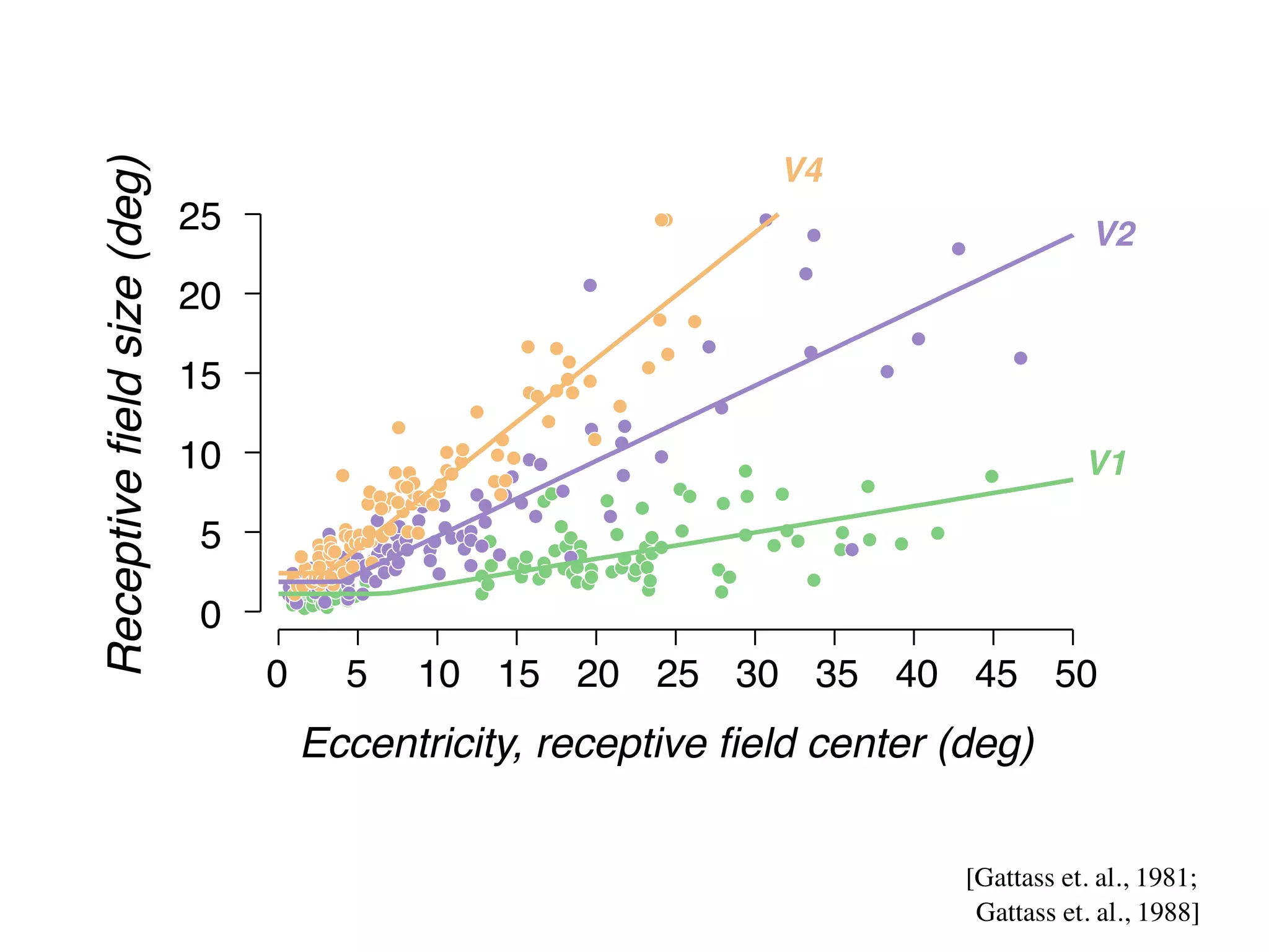 F
a                                                                                                re
                                                                                                 fie
                                                              V4                                 fie
Receptive field size (deg)
                             25                                                    V2            V
                             20                                                                  (1
                                                                                                 ec
                             15                                                                  d
                             10
                                                                                                 (b
                                                                                  V1
                                                                                                 si
                             5                                                                   T
                                                                                                 o
                             0
                                                                                                 b
                                  0     5   10 15 20 25 30 35 40 45 50                           et
                                      Eccentricity, receptive center (deg)
                                          Receptive field ﬁeld center (deg)                      ec
                                                                                                 la
b                                                                      [Gattass et. al., 1981;
                                                                                                 o
                                                                        Gattass et. al., 1988]   th
 