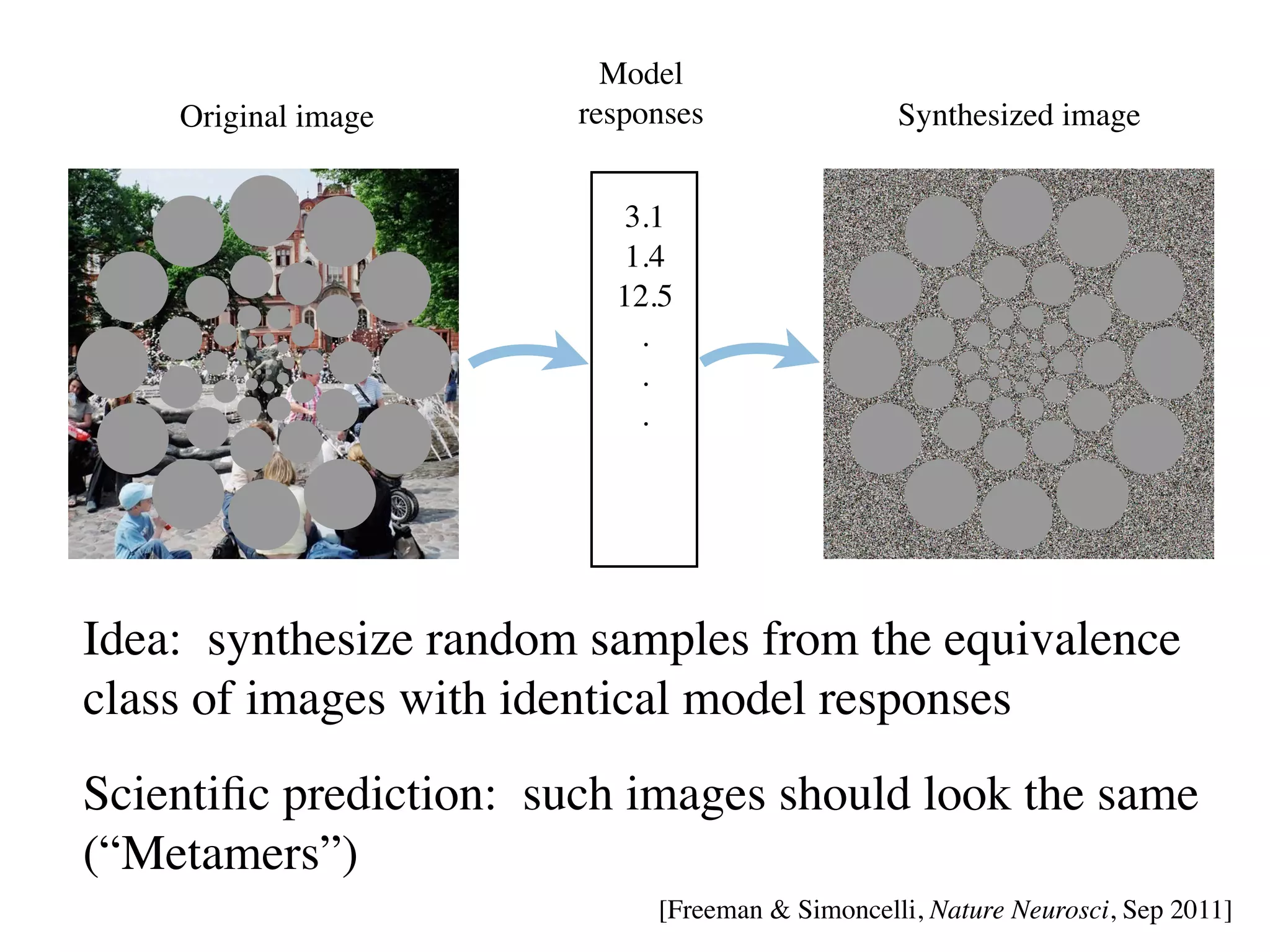 Model
    model
    Original image     responses                    model
                                                  Synthesized image


                          3.1
                          1.4
                         12.5
                           .
                           .                250
                           .
                                            150

                                            25

                                            170

                                            40
Idea: synthesize random samples from the equivalence
class of images with identical model responses
Scientiﬁc prediction: such images should look the same
(“Metamers”)
                            [Freeman  Simoncelli, Nature Neurosci, Sep 2011]
 
