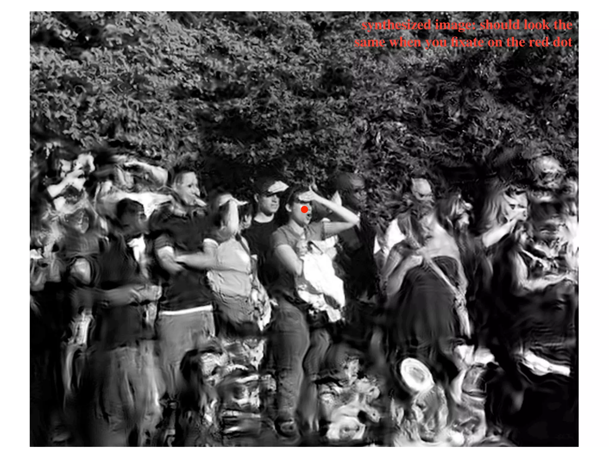 synthesized image: should look the
same when you ﬁxate on the red dot
 