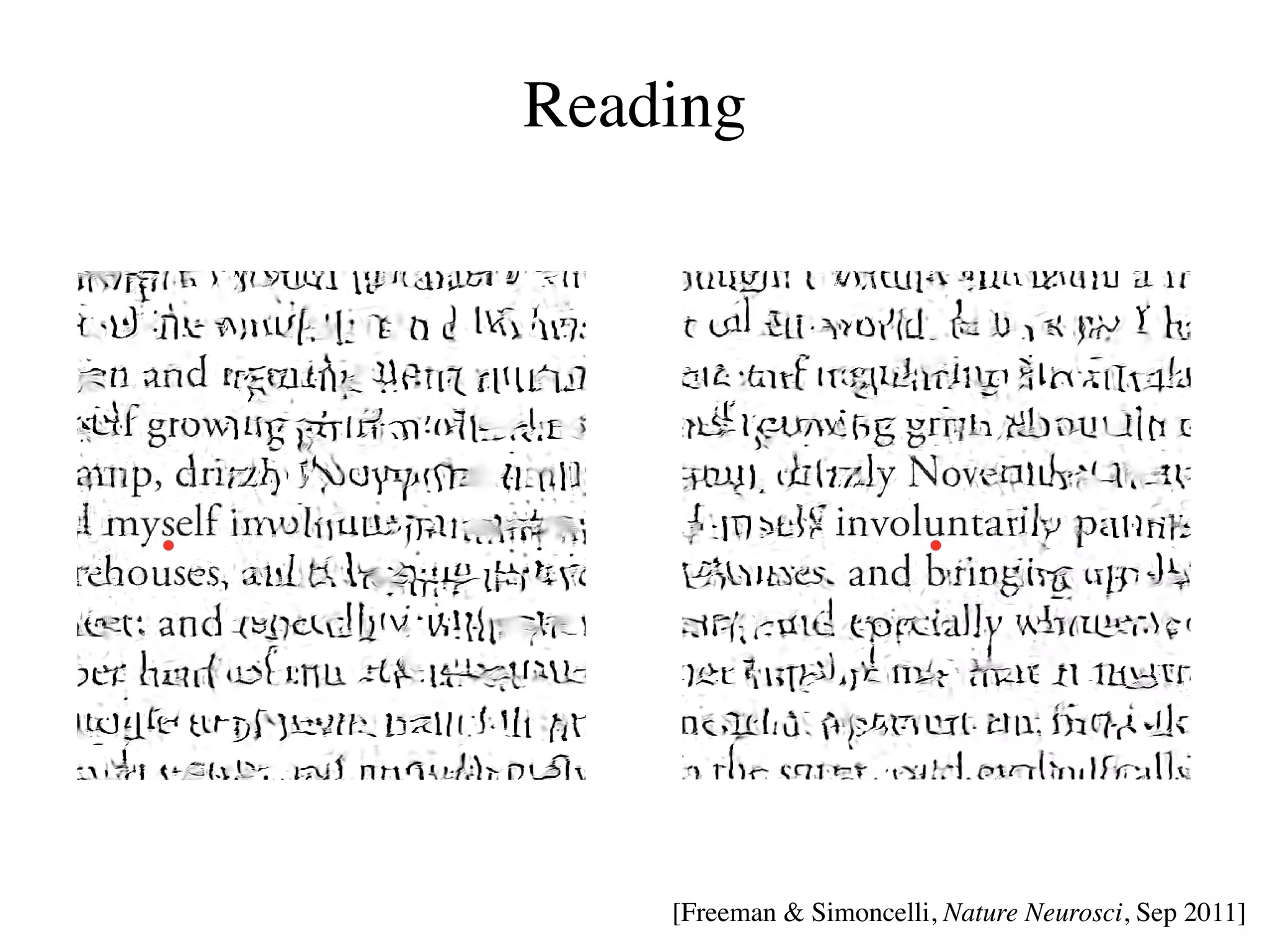 Reading
a




b
        [Freeman  Simoncelli, Nature Neurosci, Sep 2011]
 