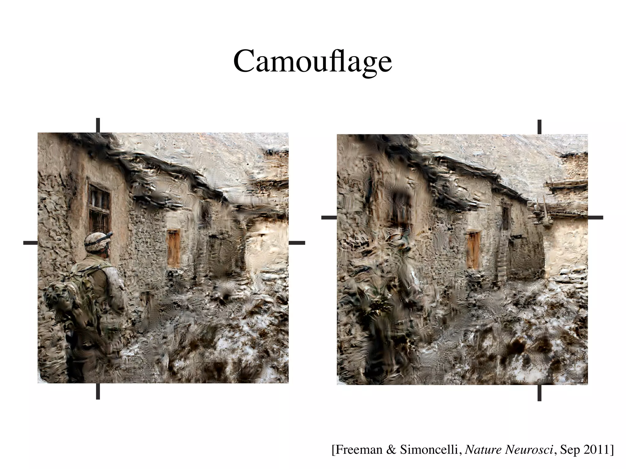 Camouﬂage
c




         [Freeman  Simoncelli, Nature Neurosci, Sep 2011]
 