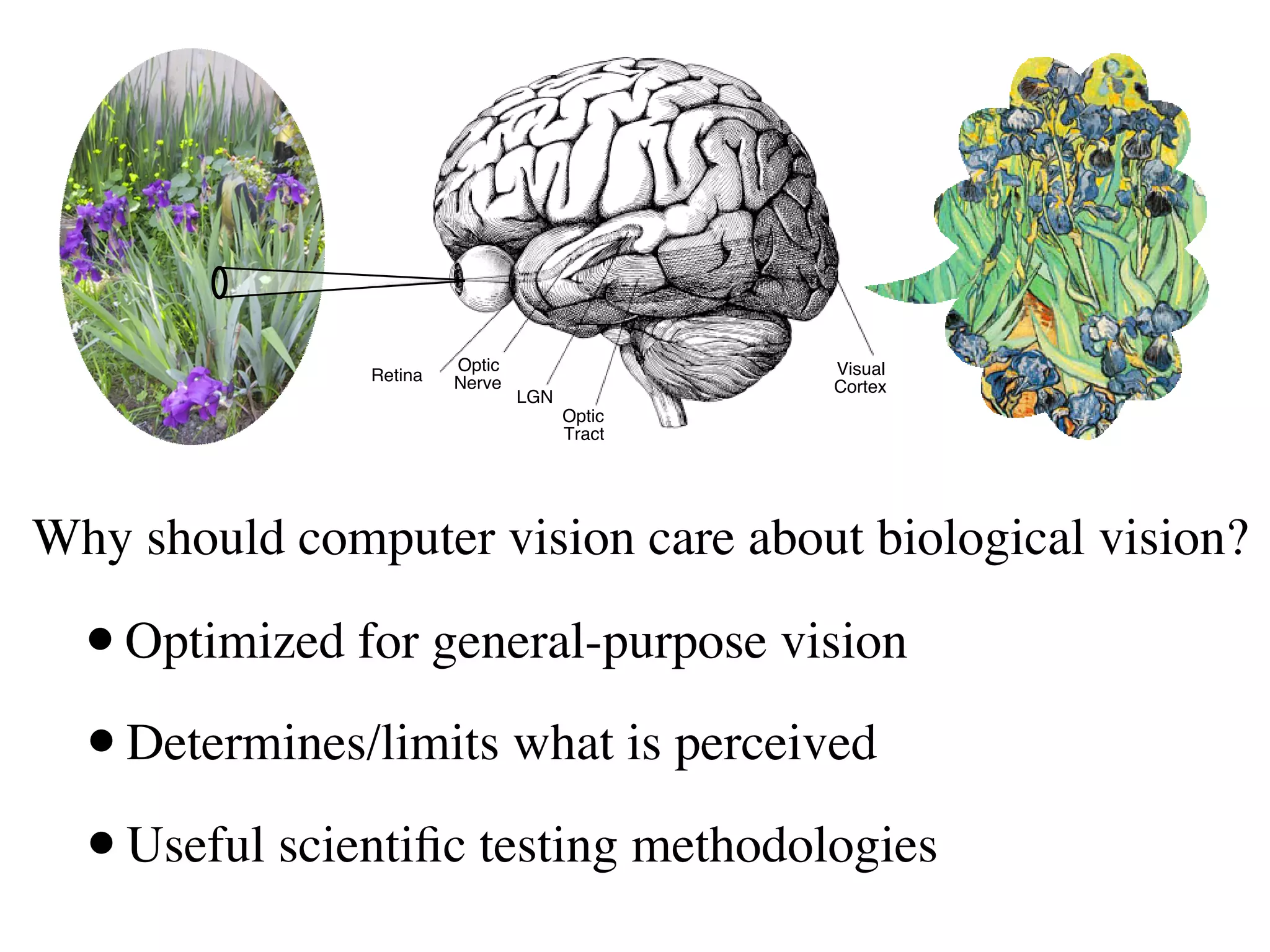 Optic                 Visual
               Retina   Nerve                 Cortex
                                LGN
                                      Optic
                                      Tract




Why should computer vision care about biological vision?

  • Optimized for general-purpose vision
  • Determines/limits what is perceived
  • Useful scientiﬁc testing methodologies
 