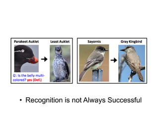 • Recognition is not Always Successful
 