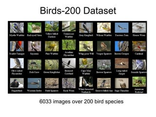 Birds-200 Dataset




6033 images over 200 bird species
 