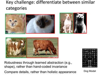 Key challenge: differentiate between similar
 categories




Robustness through learned abstraction (e.g.,
shape), rather than hand-coded invariance
Compare details, rather than holistic appearance   Dog Model
 