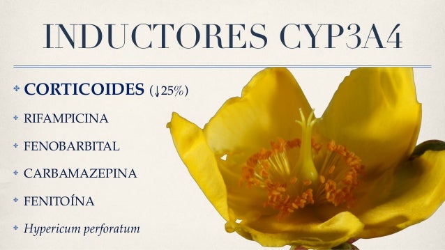 Prograf Tacrolimus Efectos Secundarios