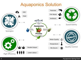 Aquaponics Solution
High Efficiency
Quality Control
Synergies
Sustainability
Double Output
Lower Labour
CO2
Heat
Pesticide
Fish Waste
Water Quality
Temperature
Antibiotic
Bio-Secure
Aquaponics Spring Farm3
 