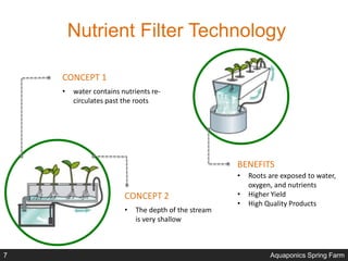 Nutrient Filter Technology
• water contains nutrients re-
circulates past the roots
CONCEPT 1
• The depth of the stream
is very shallow
CONCEPT 2
BENEFITS
• Roots are exposed to water,
oxygen, and nutrients
• Higher Yield
• High Quality Products
Aquaponics Spring Farm7
 