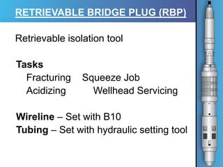 Rbp Plug Nine Project (8-19-15) | PDF
