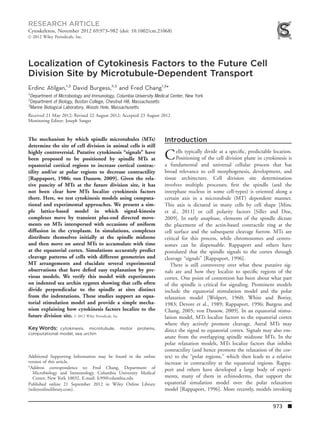 Localization of Cytokinesis Factors to the Future Cell
Division Site by Microtubule-Dependent Transport
Erdinc Atilgan,1,3
David Burgess,2,3
and Fred Chang1,3
*
1
Department of Microbiology and Immunology, Columbia University Medical Center, New York
2
Department of Biology, Boston College, Chestnut Hill, Massachusetts
3
Marine Biological Laboratory, Woods Hole, Massachusetts
Received 21 May 2012; Revised 22 August 2012; Accepted 23 August 2012
Monitoring Editor: Joseph Sanger
The mechanism by which spindle microtubules (MTs)
determine the site of cell division in animal cells is still
highly controversial. Putative cytokinesis ‘‘signals’’ have
been proposed to be positioned by spindle MTs at
equatorial cortical regions to increase cortical contrac-
tility and/or at polar regions to decrease contractility
[Rappaport, 1986; von Dassow, 2009]. Given the rela-
tive paucity of MTs at the future division site, it has
not been clear how MTs localize cytokinesis factors
there. Here, we test cytokinesis models using computa-
tional and experimental approaches. We present a sim-
ple lattice-based model in which signal-kinesin
complexes move by transient plus-end directed move-
ments on MTs interspersed with occasions of uniform
diffusion in the cytoplasm. In simulations, complexes
distribute themselves initially at the spindle midzone
and then move on astral MTs to accumulate with time
at the equatorial cortex. Simulations accurately predict
cleavage patterns of cells with different geometries and
MT arrangements and elucidate several experimental
observations that have deﬁed easy explanation by pre-
vious models. We verify this model with experiments
on indented sea urchin zygotes showing that cells often
divide perpendicular to the spindle at sites distinct
from the indentations. These studies support an equa-
torial stimulation model and provide a simple mecha-
nism explaining how cytokinesis factors localize to the
future division site. VC 2012 Wiley Periodicals, Inc
Key Words: cytokinesis, microtubule, motor proteins,
computational model, sea urchin
Introduction
Cells typically divide at a speciﬁc, predictable location.
Positioning of the cell division plane in cytokinesis is
a fundamental and universal cellular process that has
broad relevance to cell morphogenesis, development, and
tissue architecture. Cell division site determination
involves multiple processes; ﬁrst the spindle (and the
interphase nucleus in some cell-types) is oriented along a
certain axis in a microtubule (MT) dependent manner.
This axis is dictated in many cells by cell shape [Minc
et al., 2011] or cell polarity factors [Siller and Doe,
2009]. In early anaphase, elements of the spindle dictate
the placement of the actin-based contractile ring at the
cell surface and the subsequent cleavage furrow. MTs are
critical for this process, while chromosomes and centro-
somes can be dispensable. Rappaport and others have
postulated that the spindle signals to the cortex through
cleavage ‘‘signals’’ [Rappaport, 1996].
There is still controversy over what these putative sig-
nals are and how they localize to speciﬁc regions of the
cortex. One point of contention has been about what part
of the spindle is critical for signaling. Prominent models
include the equatorial stimulation model and the polar
relaxation model [Wolpert, 1960; White and Borisy,
1983; Devore et al., 1989; Rappaport, 1996; Burgess and
Chang, 2005; von Dassow, 2009]. In an equatorial stimu-
lation model, MTs localize factors to the equatorial cortex
where they actively promote cleavage. Astral MTs may
direct the signal to equatorial cortex. Signals may also em-
anate from the overlapping spindle midzone MTs. In the
polar relaxation models, MTs localize factors that inhibit
contractility (and hence promote the relaxation of the cor-
tex) to the ‘‘polar regions,’’ which then leads to a relative
increase in contractility at the equatorial regions. Rappa-
port and others have developed a large body of experi-
ments, many of them in echinoderms, that support the
equatorial simulation model over the polar relaxation
model [Rappaport, 1996]. More recently, models invoking
Additional Supporting Information may be found in the online
version of this article.
*Address correspondence to: Fred Chang, Department of
Microbiology and Immunology, Columbia University Medical
Center, New York 10032. E-mail: fc99@columbia.edu
Published online 21 September 2012 in Wiley Online Library
(wileyonlinelibrary.com).
RESEARCH ARTICLE
Cytoskeleton, November 2012 69:973–982 (doi: 10.1002/cm.21068)
VC 2012 Wiley Periodicals, Inc.
973 n
 