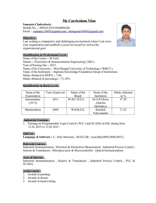 Curriculum vitae examples pdf image
