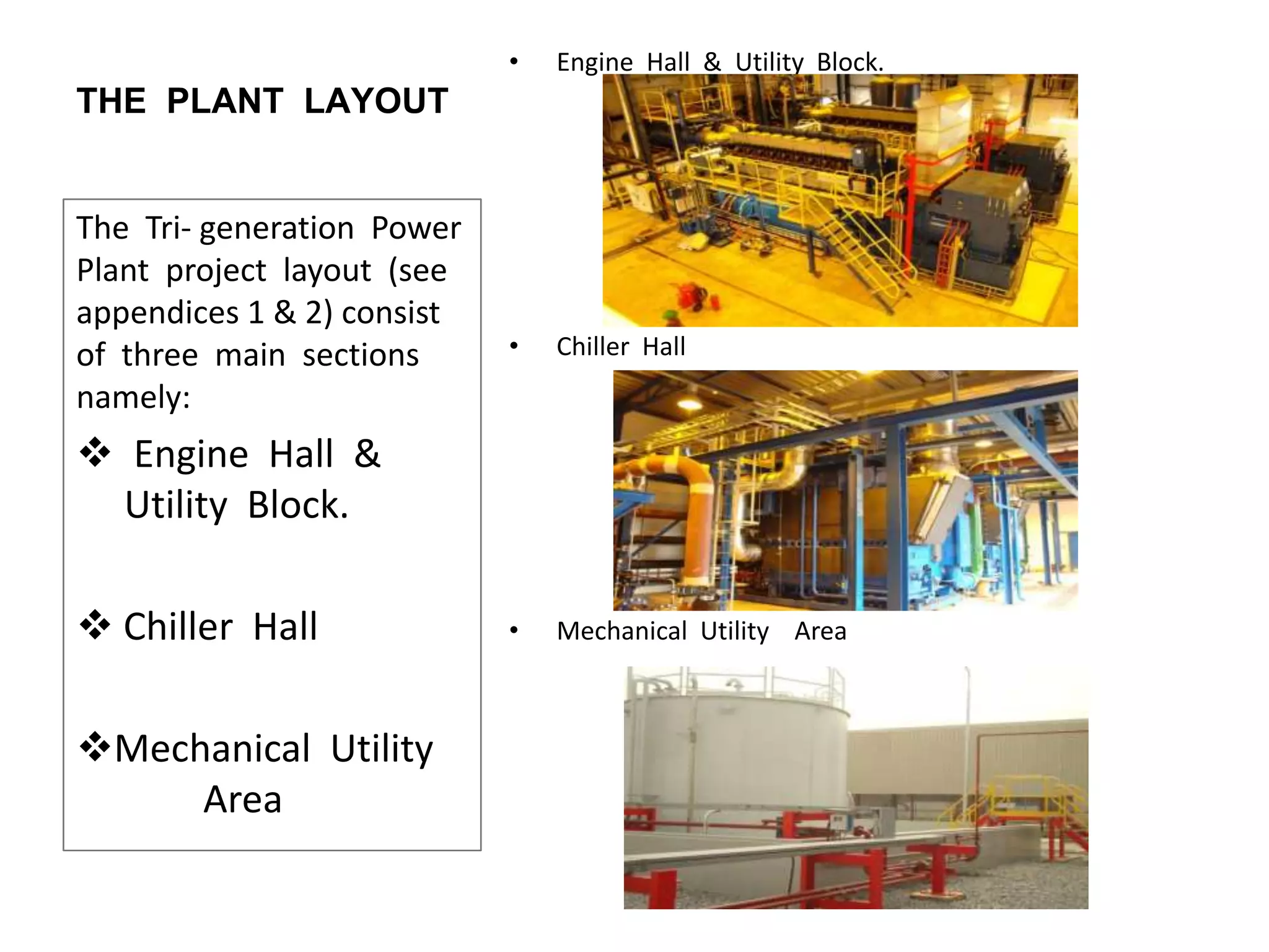 THE PLANT LAYOUT
• Engine Hall & Utility Block.
• Chiller Hall
• Mechanical Utility Area
The Tri- generation Power
Plant project layout (see
appendices 1 & 2) consist
of three main sections
namely:
 Engine Hall &
Utility Block.
 Chiller Hall
Mechanical Utility
Area
 