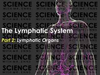 The Lymphatic System
Part 2: Lymphatic Organs
 