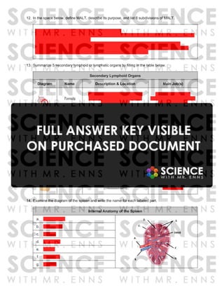 12. In the space below, define MALT, describe its purpose, and list 6 subdivisions of MALT.
MALT stands for mucous associated lymphatic tissue
Its purpose is to protect the body from pathogens and other harmful substances that may enter the
body through mucous membranes
5 (out of 6) subdivisions include: GALT (gut associated lymphatic tissue), BALT (bronchial
associated lymphatic tissue), NALT (nasal associated lymphatic tissue), SALT (skin associated
lymphatic tissue), and CALT (conjunctiva associated lymphatic tissue)
13. Summarize 5 secondary lymphoid or lymphatic organs by filling in the table below.
Secondary Lymphoid Organs
Diagram Name Description & Location Main Job(s)
Tonsils
Clusters of lymphoid tissue under
mucous membranes of the nose,
mouth, and throat
Protect the body from
pathogens entering through
the nose or mouth
Peyer’s
Patches
Small, egg-shaped nodules of
lymphoid tissue found under mucous
membranes of the small intestine
Protect the body from
pathogens that may enter
through the small intestine
Appendix
Small, finger-shaped pouch of
intestinal tissue; located between the
small intestine and large intestine
Protect the body from
pathogens that may enter
through the large intestine
Spleen
Body’s largest lymphoid organ;
located in the upper left side of the
abdomen, next to the stomach
Filters blood, monitors
blood for pathogens, and
stores blood
Thymus
Soft, bi-lobed gland located in the
chest area between the lungs
(mediastinum)
Creation and maturation of
immune T-cells in the early
stages of life
14. Examine the diagram of the spleen and write the name for each labeled part.
Internal Anatomy of the Spleen
a. splenic artery
b. splenic vein
c. capsule
d. trabeculae
e. lobules
f. white pulp
g. red pulp
 