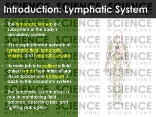 • The lymphatic system is a
subsystem of the body’s
circulatory system
• It is a sophisticated network of
lymphatic fluid, lymphatic
vessels, and lymphatic organs
• Its main job is to collect a fluid
called lymph from intercellular
tissue spaces and transport it
back to the circulatory system
• The lymphatic system plays a
role in maintaining fluid
balance, absorbing fats, and
fighting pathogens
Introduction: Lymphatic System
 