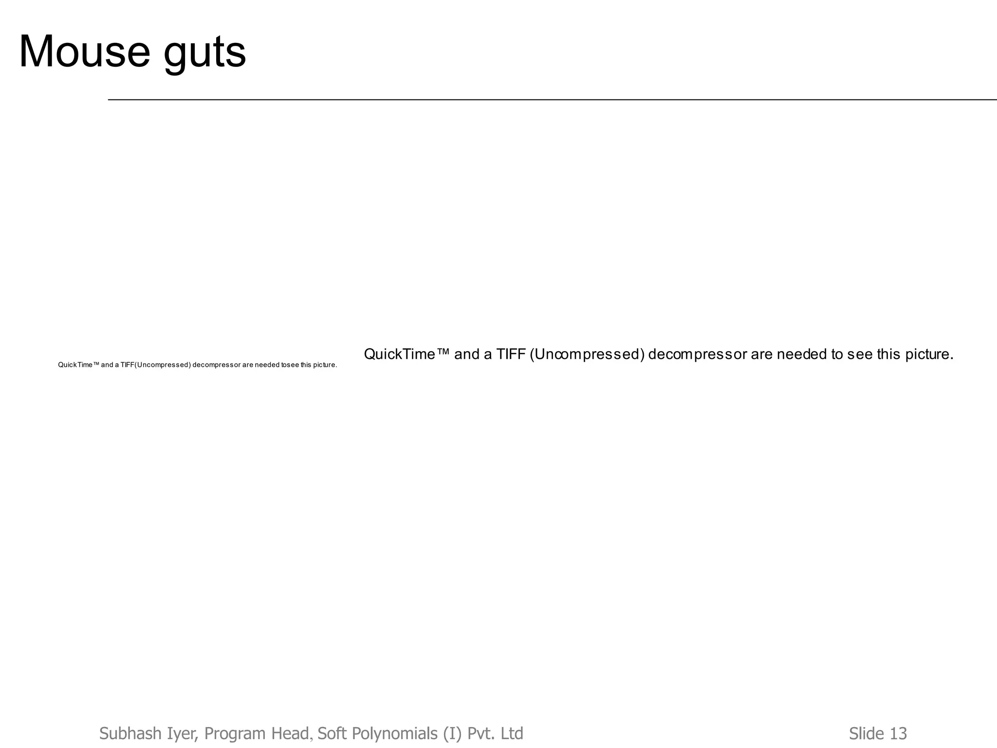 Slide 13Subhash Iyer, Program Head, Soft Polynomials (I) Pvt. Ltd
Mouse guts
QuickTime™ and a TIFF (Uncompressed) decompressor are needed to see this picture.
QuickTime™ and a TIFF(Uncompressed) decompressor are needed tosee this picture.
 