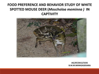 FOOD PREFERENCE AND BEHAVIOR STUDY OF WHITE
SPOTTED MOUSE DEER (Moscholoa meminna ) IN
CAPTIVITY
AG/AT/2012/3335
B.M.M.WANIGASEKARA
 