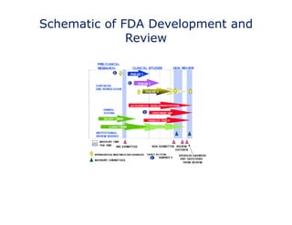 Schematic of FDA Development and 
Review 
 
