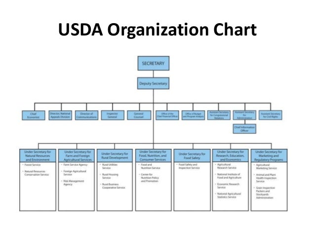 Fsis Organizational Chart
