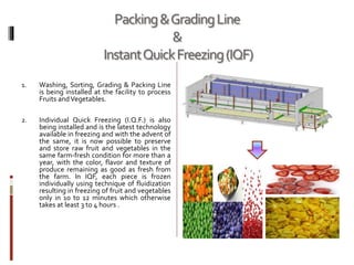 Integrated Cold Chain Facility Guwahati | PPTX