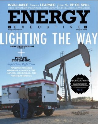 Executive Energy - Spring 2015_CSI Mention_Ad.jpeg