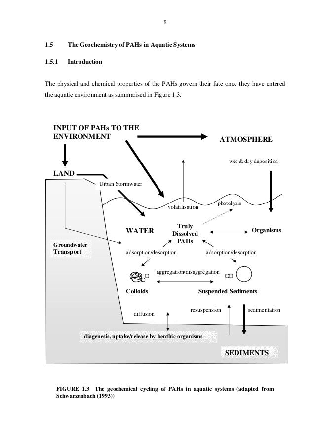 Phd thesis adsorption